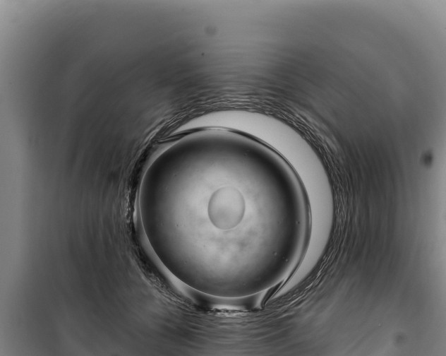 X0000100210560200806061348