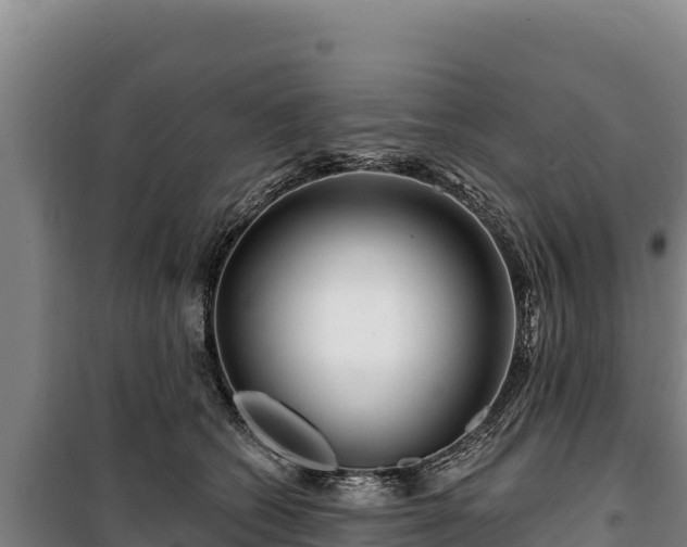 X0000100210562200806061348