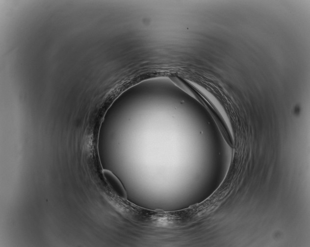 X0000100210564200806061348