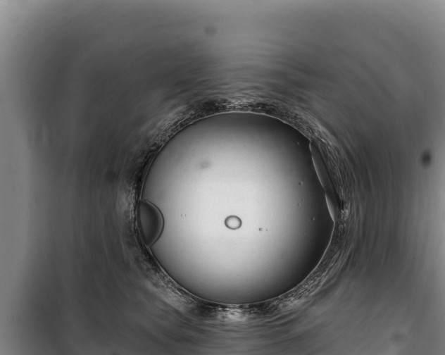 X0000100210565200806061348