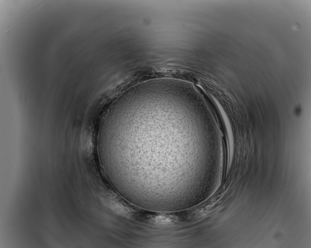 X0000100210566200806061348