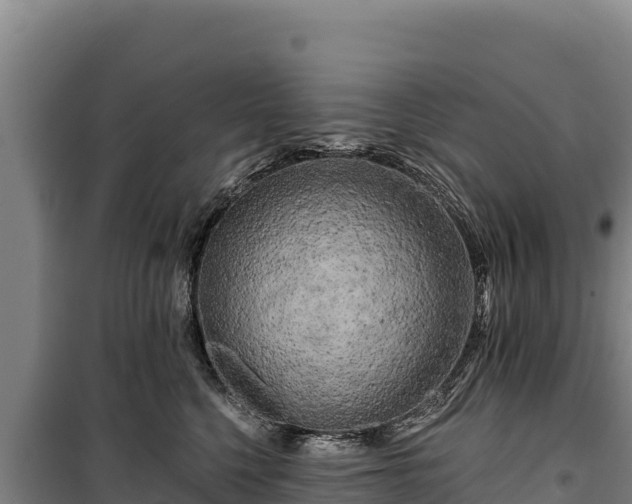 X0000100210568200806061348