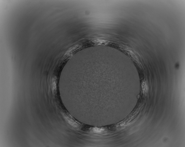 X0000100210570200806061348