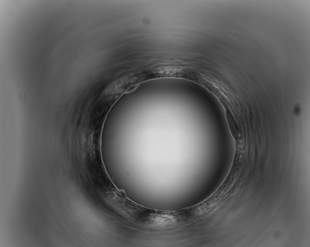 X0000100210572200806061348