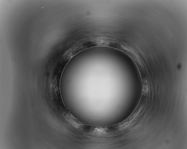 X0000100210573200806061348