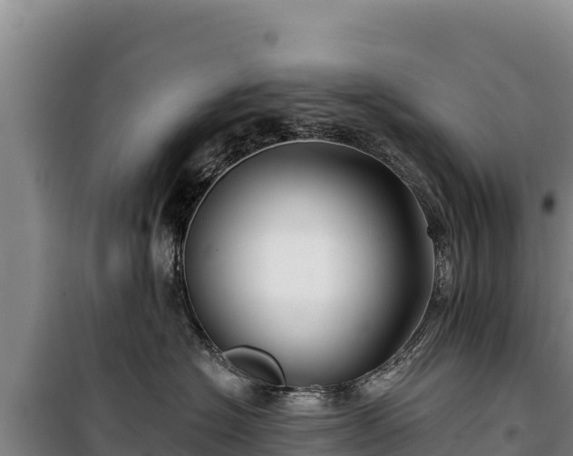 X0000100210574200806061348