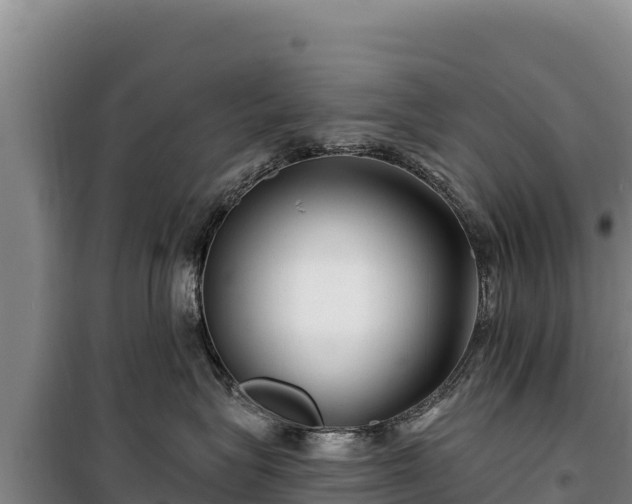 X0000100210575200806061348