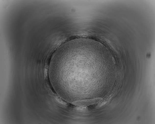 X0000100210576200806061348