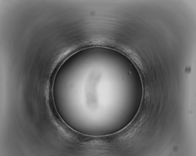 X0000100210578200806061348