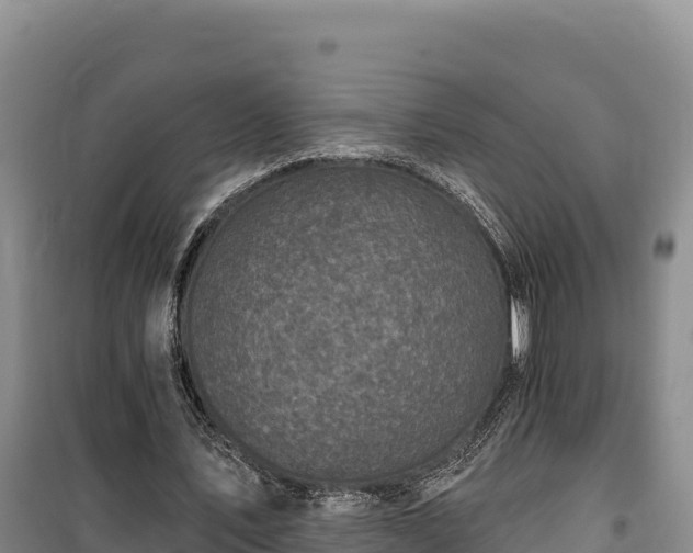 X0000100210579200806061348