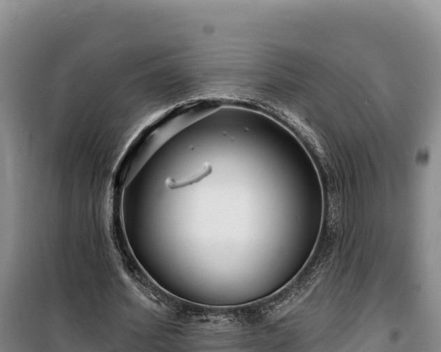 X0000100210580200806061348