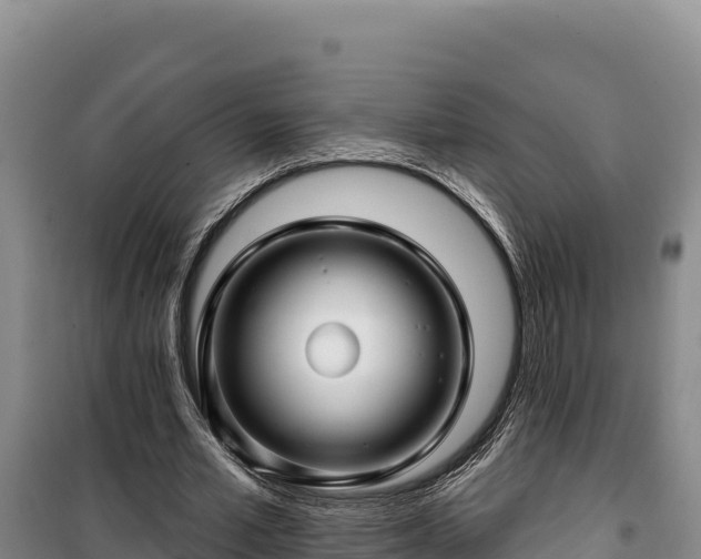 X0000100210581200806061348