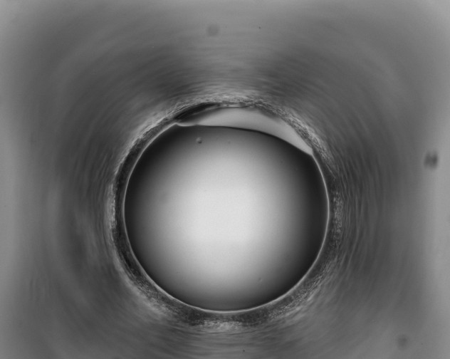 X0000100210582200806061348