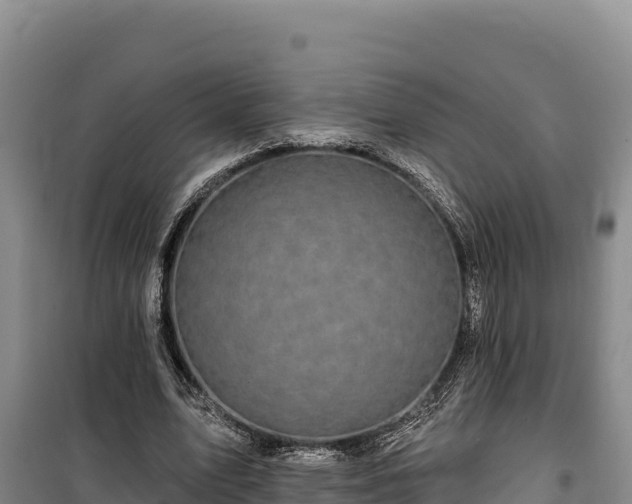 X0000100210583200806061347