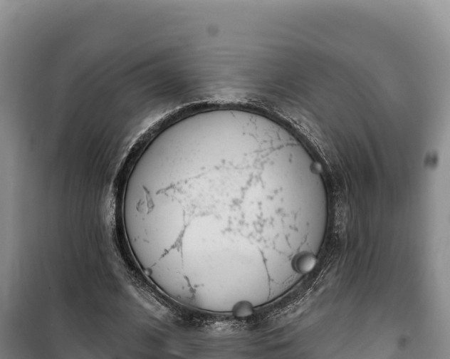 X0000100210584200806061347