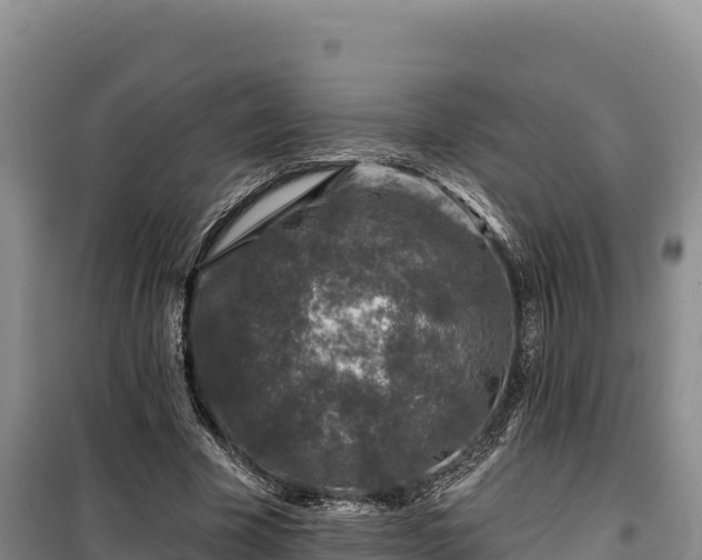 X0000100210585200806061347