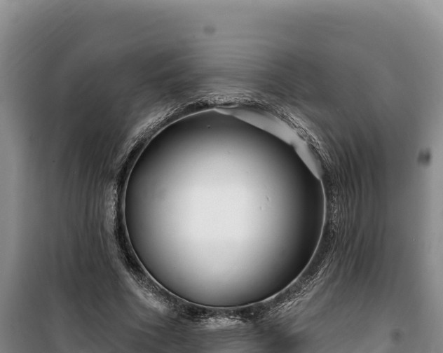 X0000100210586200806061347