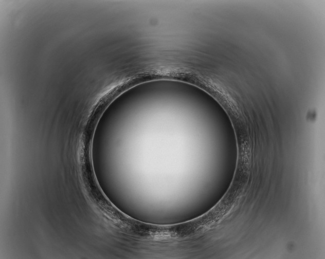 X0000100210587200806061347