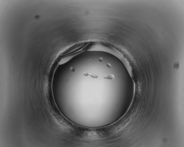 X0000100210588200806061347