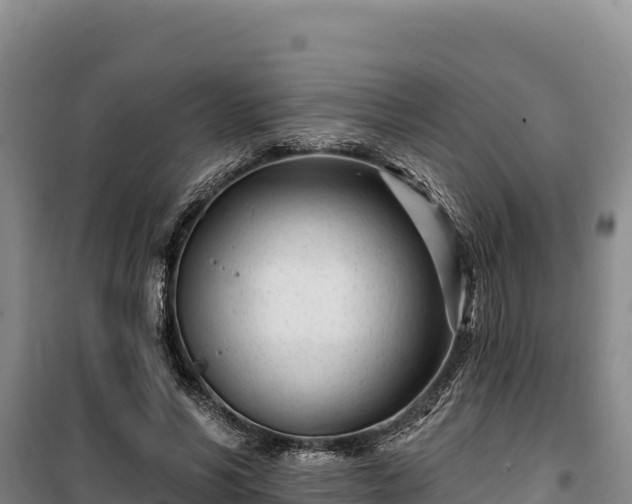 X0000100210590200806061347