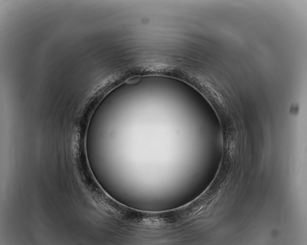 X0000100210591200806061347