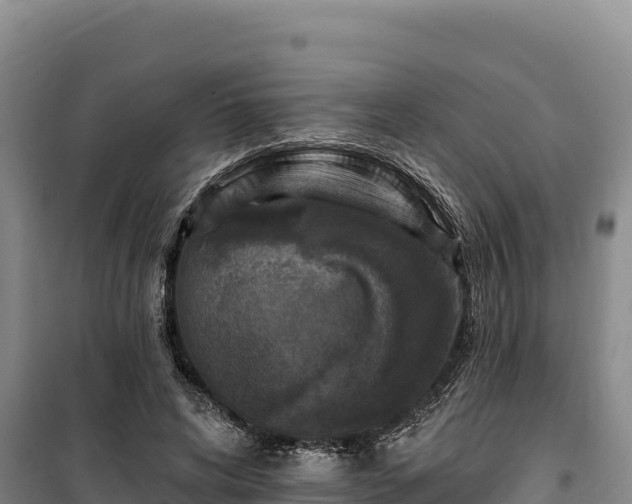 X0000100210592200806061347