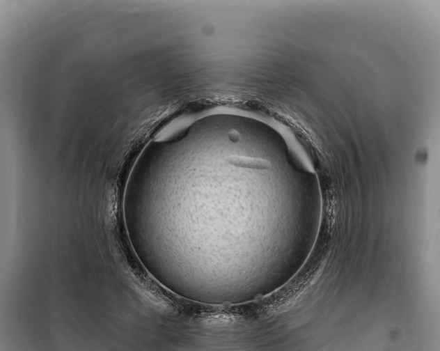 X0000100210593200806061347