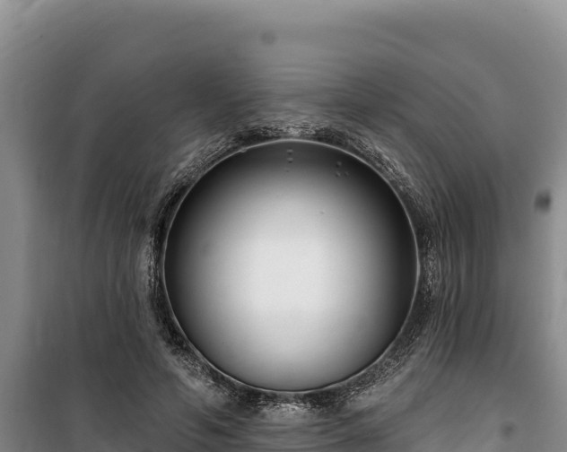 X0000100210594200806061347