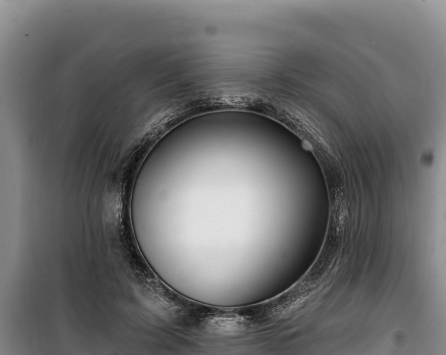 X0000100210595200806061347