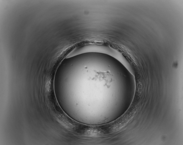 X0000100210596200806061347