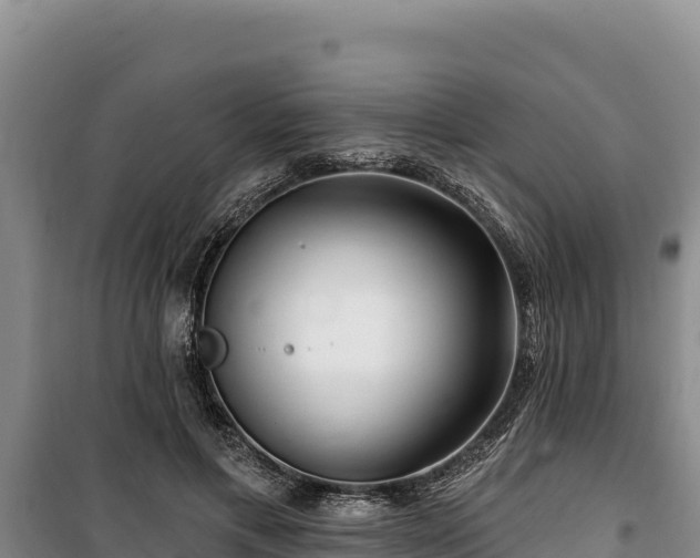 X0000100210597200806061347