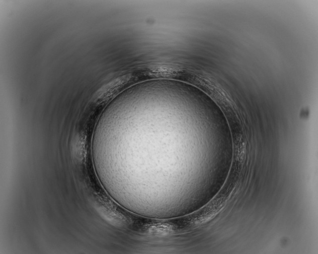 X0000100210599200806061347