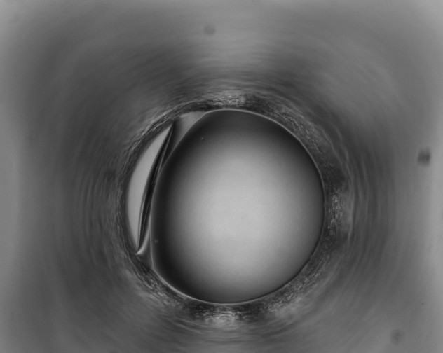 X0000100210600200806061347