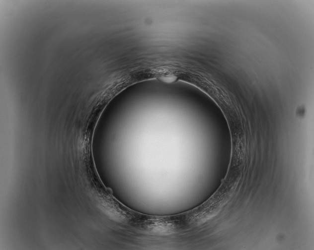 X0000100210601200806061347