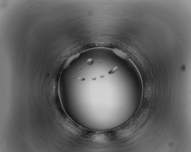 X0000100210604200806061347