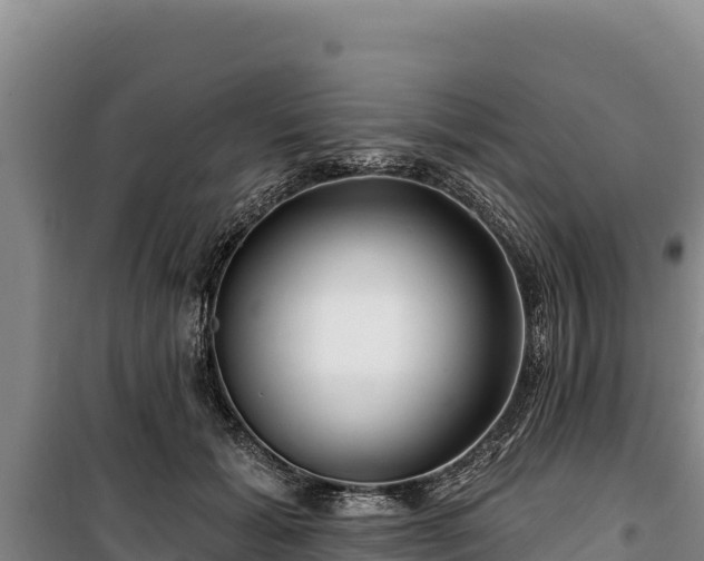 X0000100210605200806061347