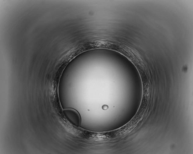 X0000100210607200806061347