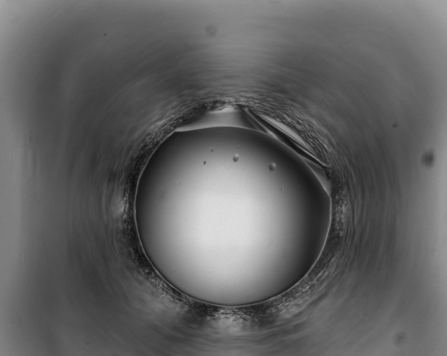 X0000100210608200806061347