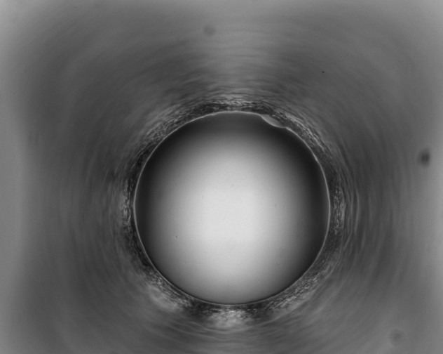 X0000100210609200806061347