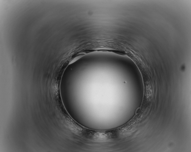 X0000100210613200806061347