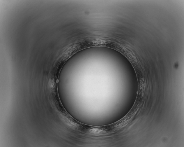 X0000100210614200806061347