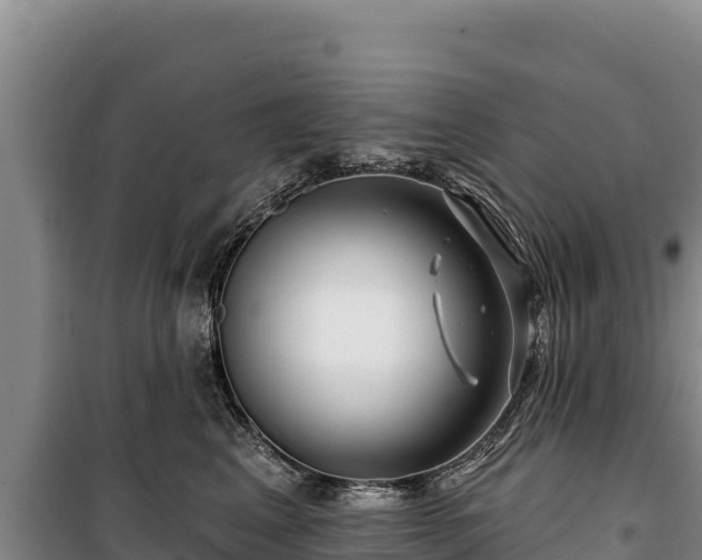 X0000100210617200806061347