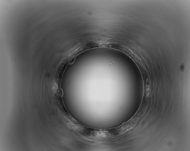 X0000100210618200806061347