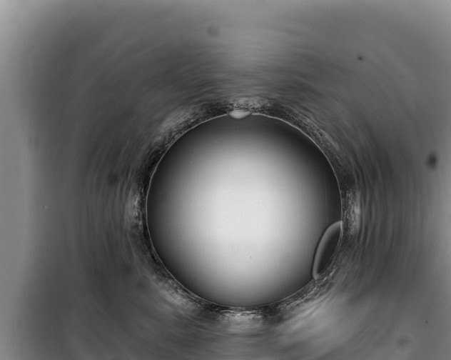 X0000100210619200806061347