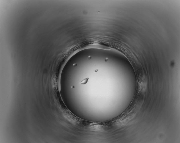 X0000100210620200806061347