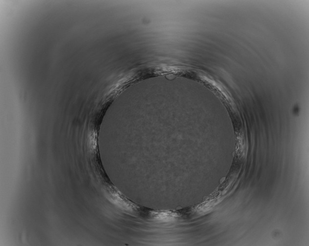 X0000100210621200806061347