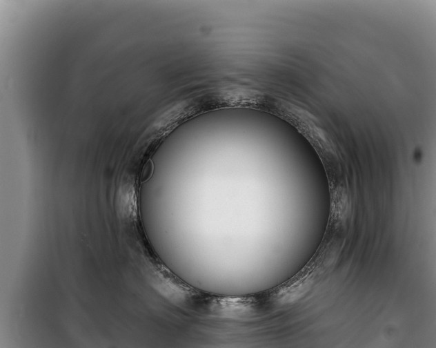 X0000100210622200806061347