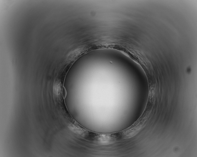 X0000100210623200806061347