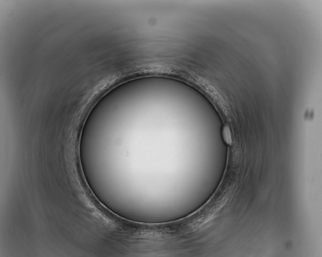 X0000100210625200806061346