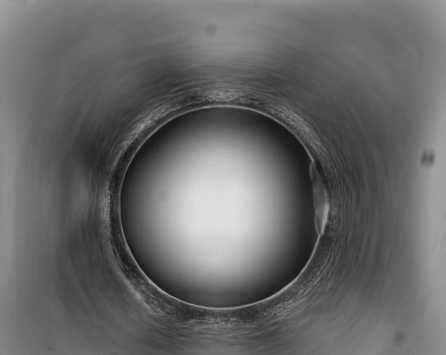 X0000100210626200806061346